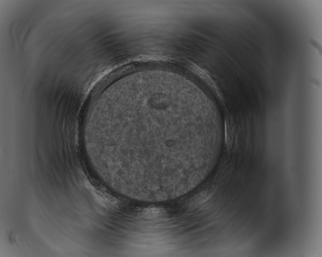 X0000100490204200807031924