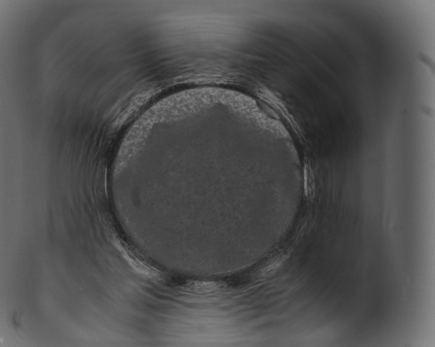 X0000100490205200807031924