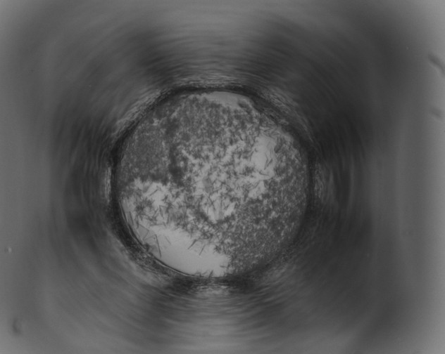 X0000100490206200807031924