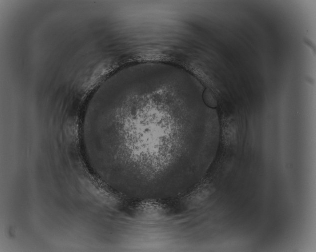 X0000100490207200807031924