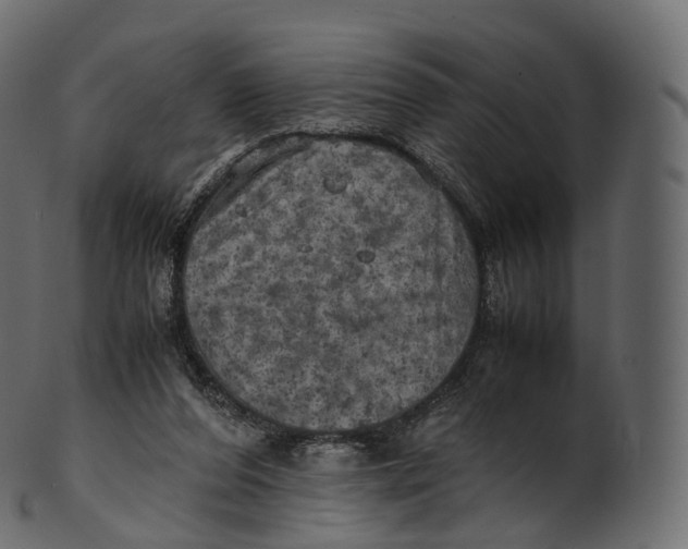 X0000100490208200807031924