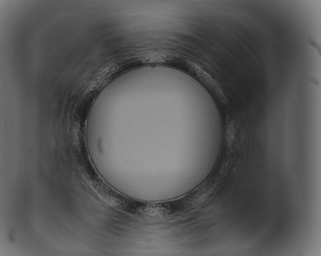 X0000100490209200807031924