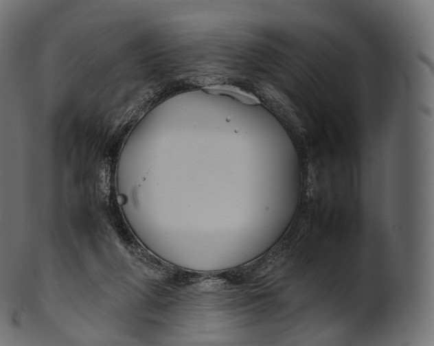 X0000100490210200807031924