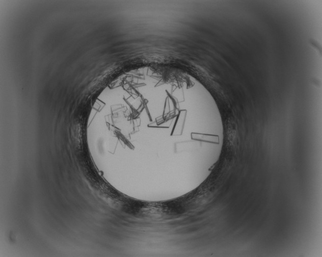 X0000100490211200807031924