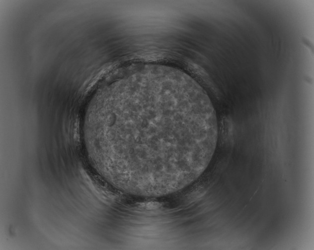 X0000100490212200807031924