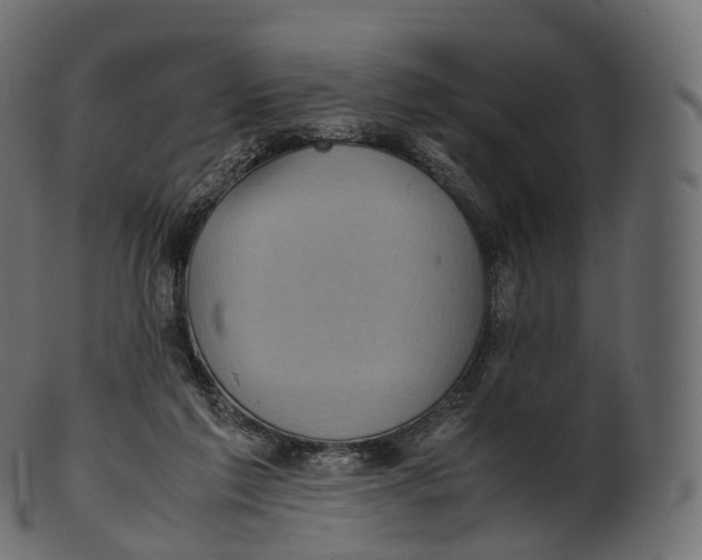 X0000100490213200807031924