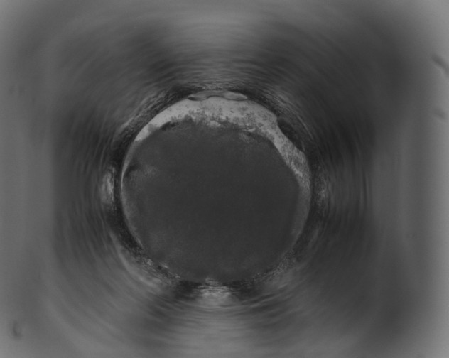 X0000100490214200807031924