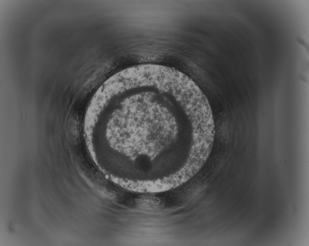 X0000100490215200807031924