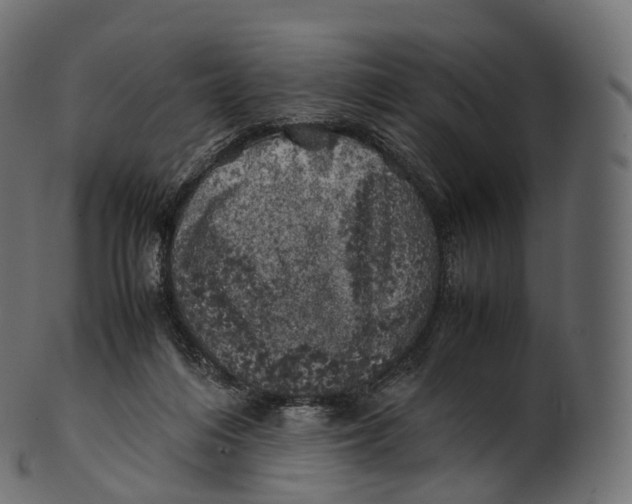 X0000100490216200807031924