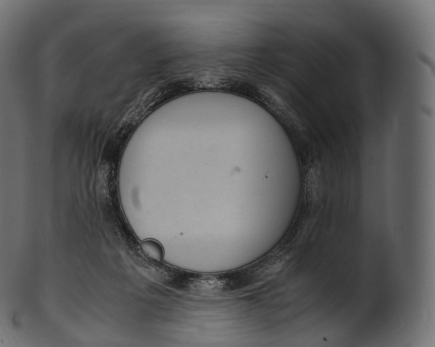 X0000100490217200807031924