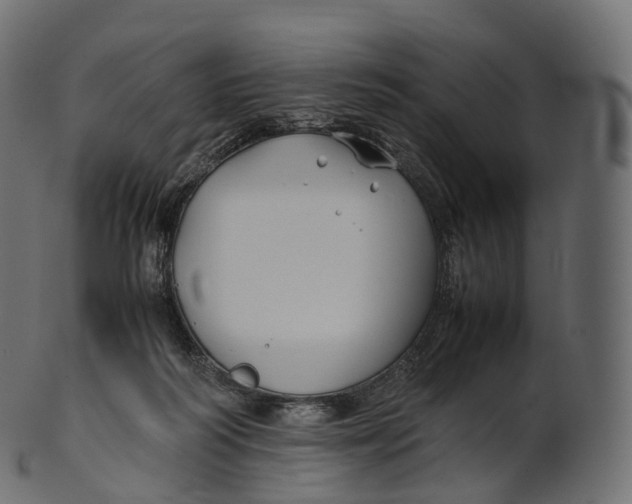 X0000100490218200807031924