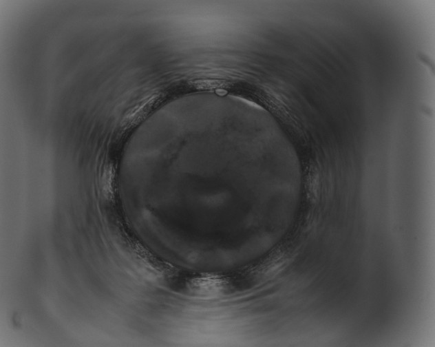 X0000100490219200807031924