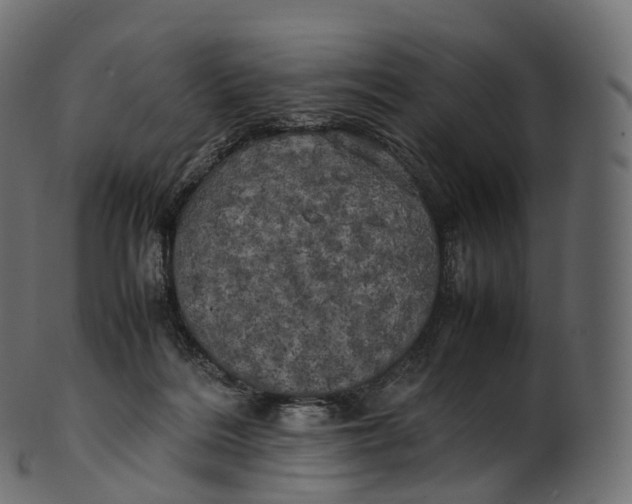 X0000100490220200807031924