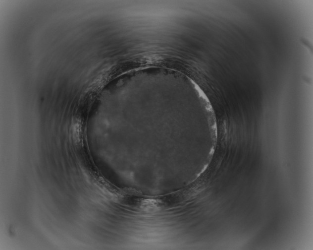 X0000100490222200807031924