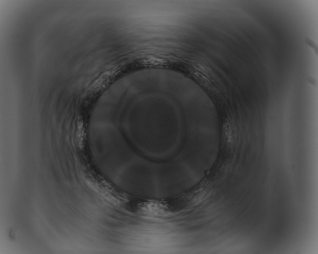 X0000100490223200807031924