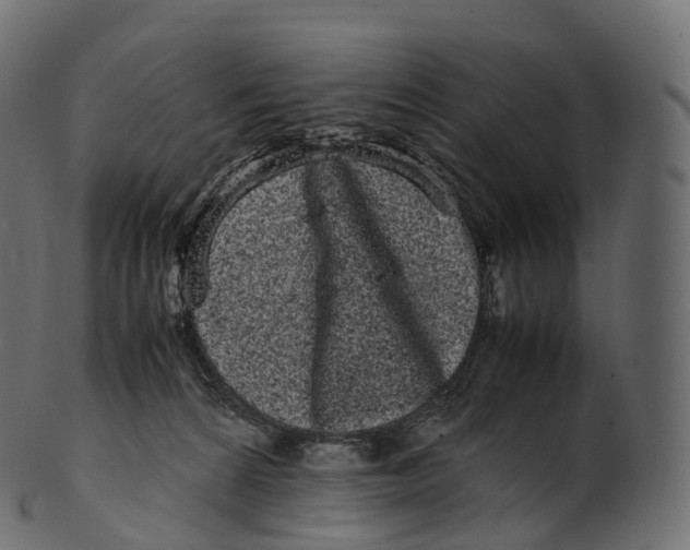 X0000100490224200807031924