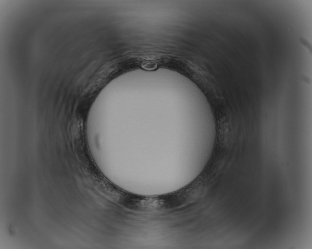 X0000100490225200807031924