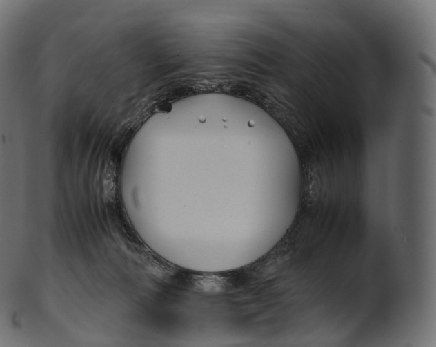 X0000100490226200807031924