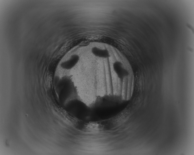 X0000100490227200807031924