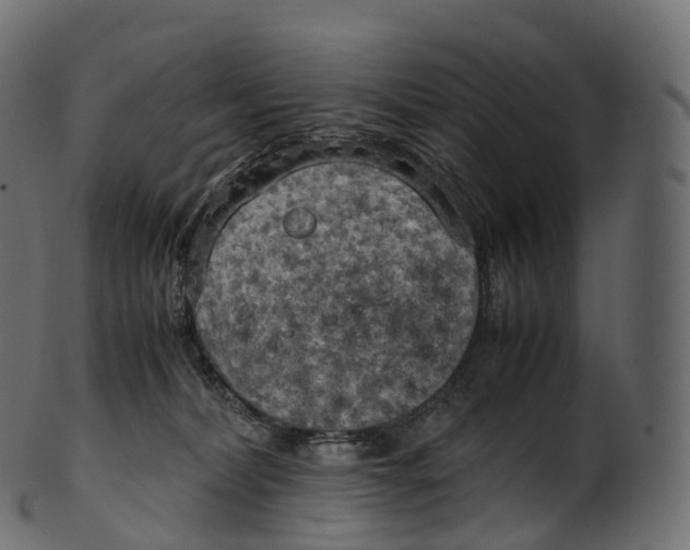 X0000100490228200807031924