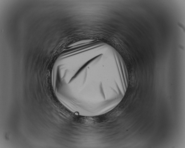 X0000100490229200807031924