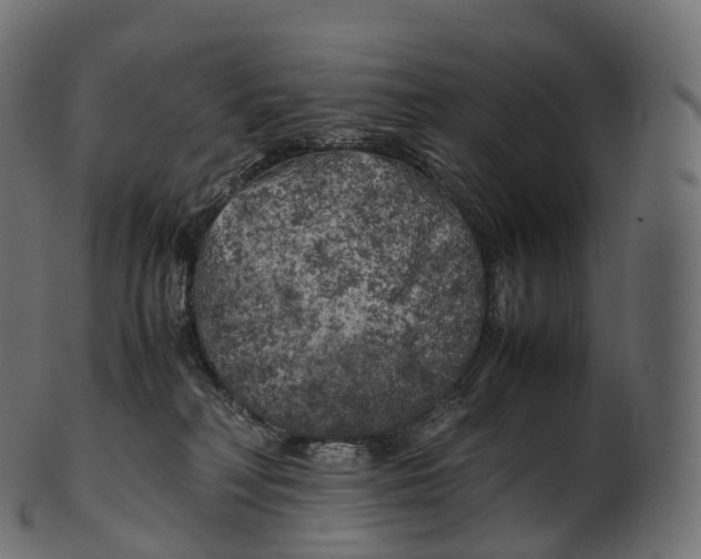 X0000100490230200807031924