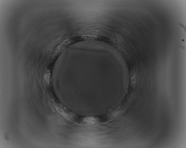 X0000100490231200807031924