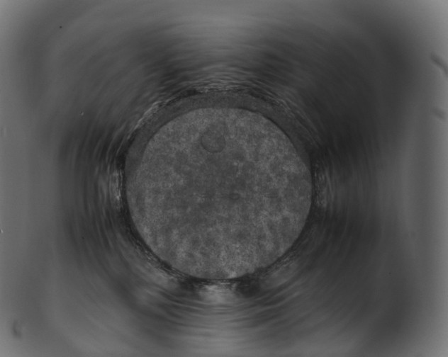 X0000100490232200807031924