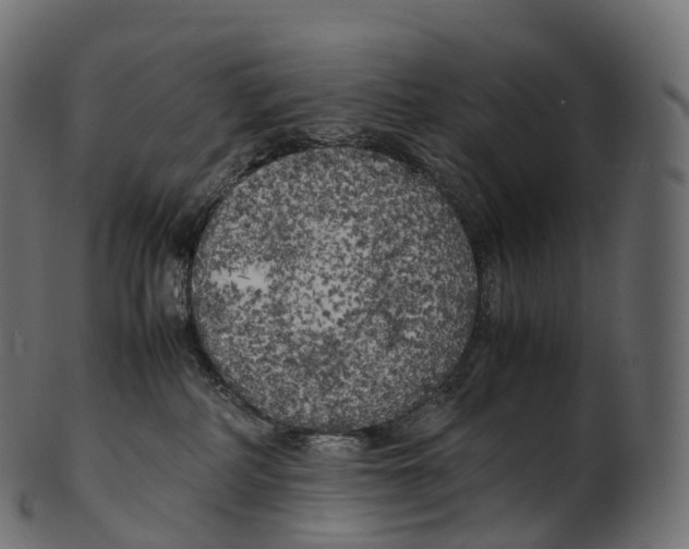 X0000100490234200807031924