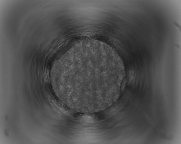 X0000100490236200807031924