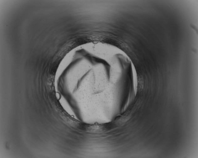 X0000100490237200807031924