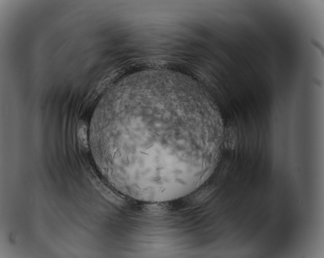 X0000100490238200807031924