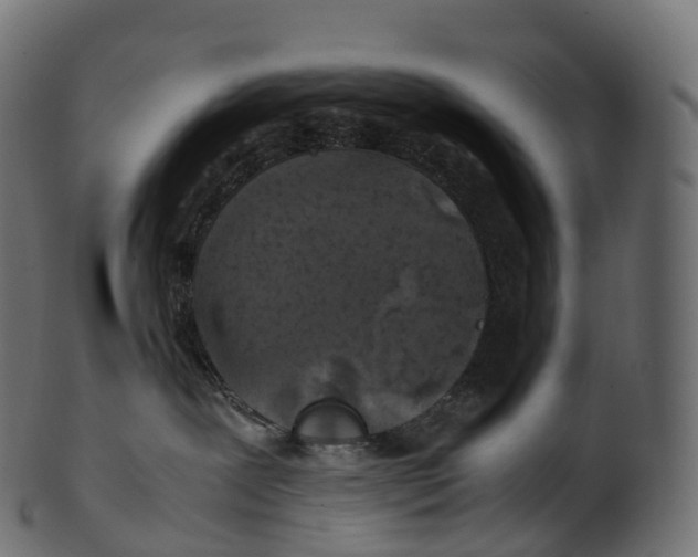 X0000100490239200807031924