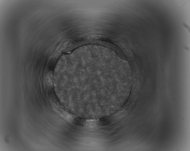 X0000100490240200807031924