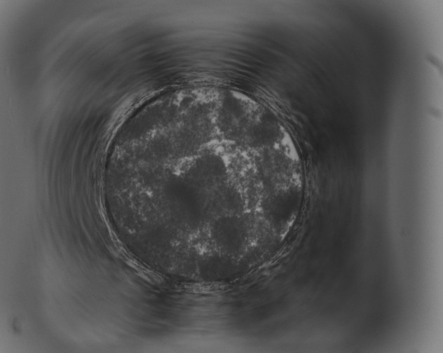 X0000100490241200807031923