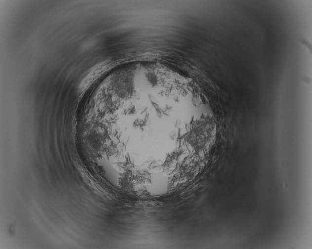 X0000100490242200807031923