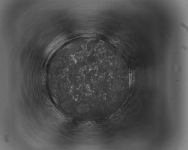 X0000100490243200807031923