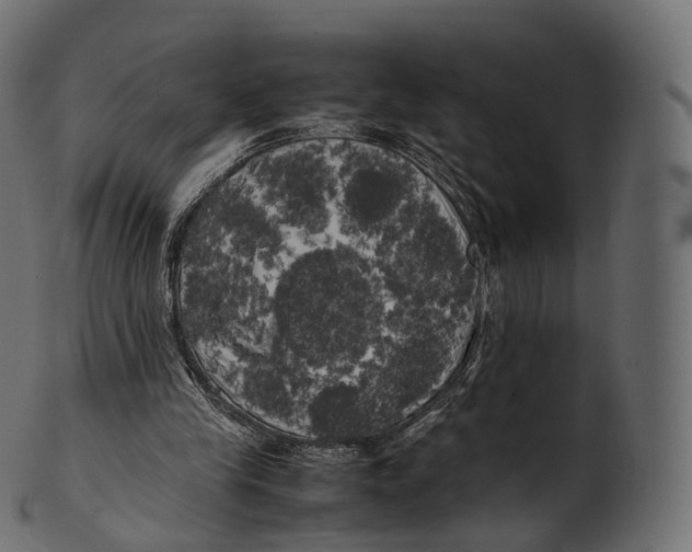 X0000100490245200807031923