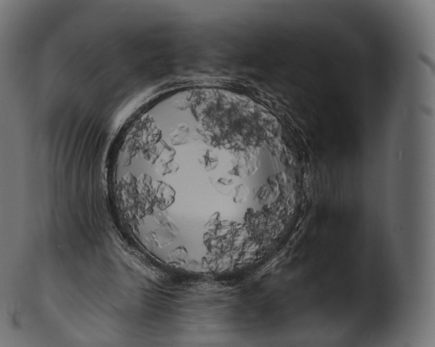 X0000100490246200807031923