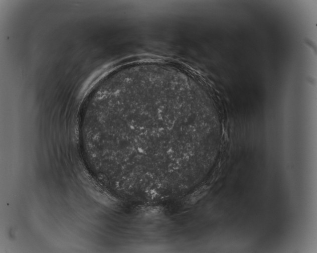 X0000100490247200807031923