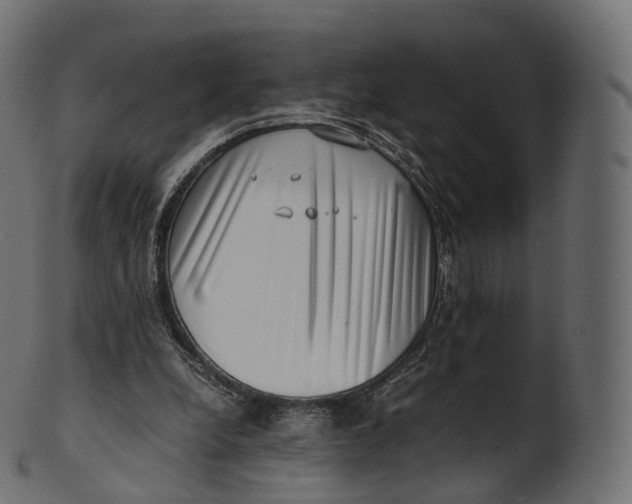 X0000100490248200807031923