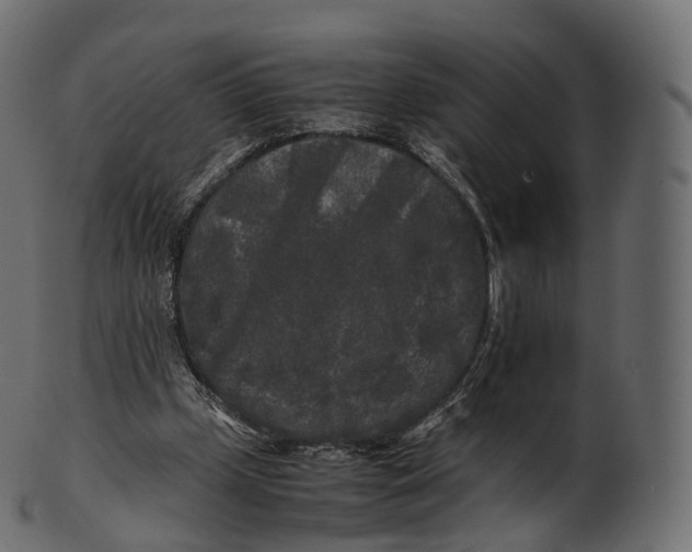 X0000100490249200807031923