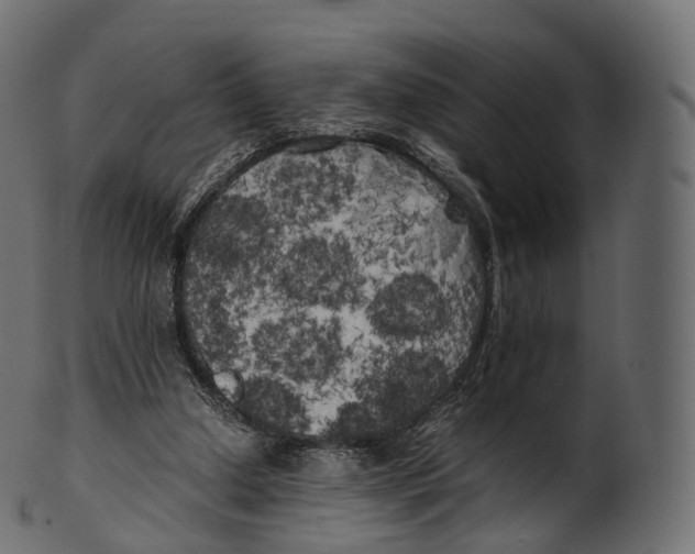 X0000100490250200807031923