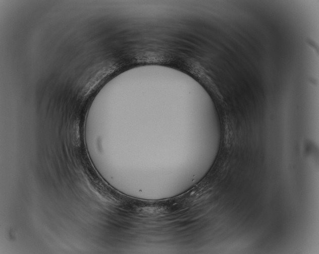 X0000100490251200807031923