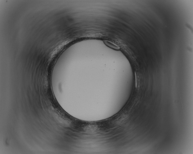 X0000100490252200807031923