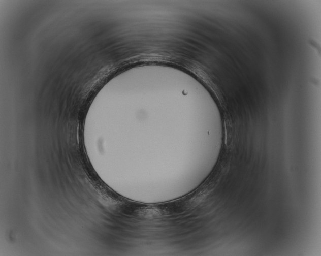 X0000100490253200807031923