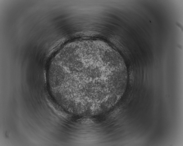 X0000100490254200807031923