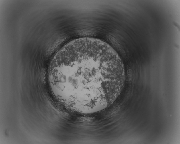 X0000100490255200807031923