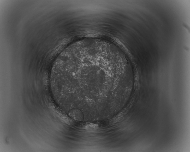 X0000100490257200807031923