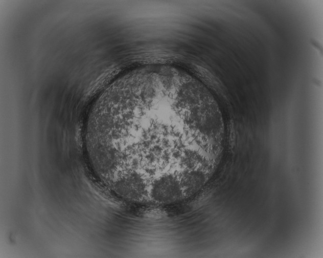 X0000100490258200807031923